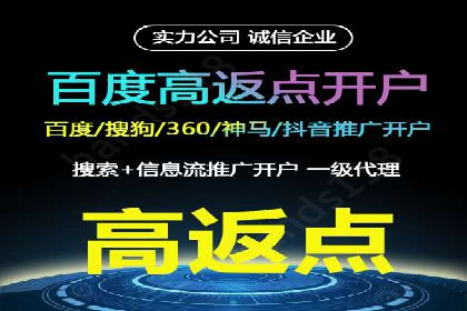 百度推广费用投入与品牌知名度提升的案例分析